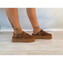 UG leopardo